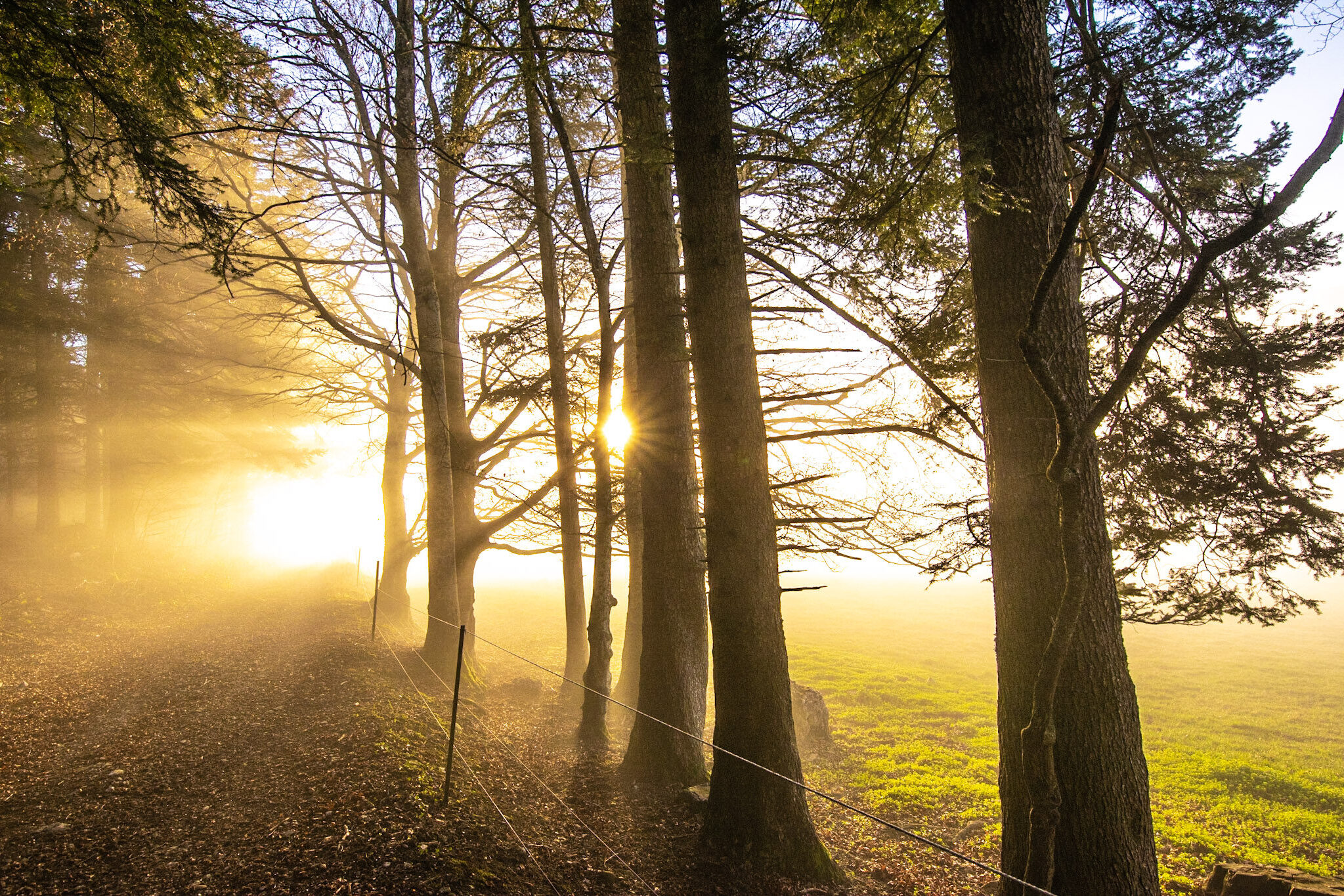 Hintergrund Naturangebote